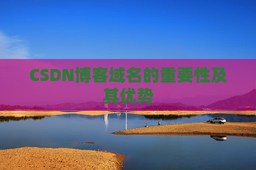 CSDN博客域名的重要性及其优势
